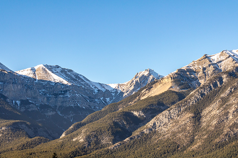 Processed - Lightened